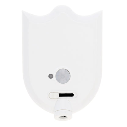 LED Sensor Light