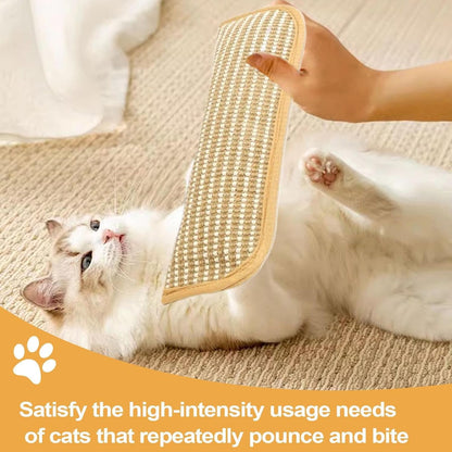 Cat Teething Pillow & Scratching Toy