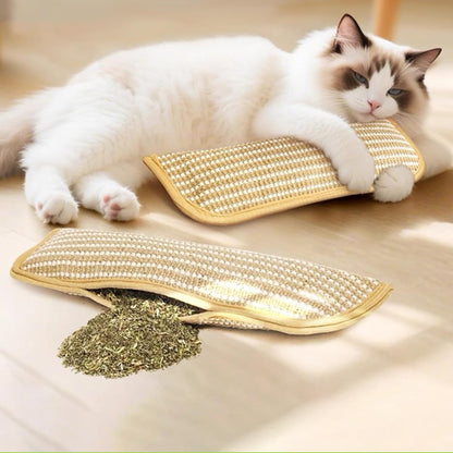 Cat Teething Pillow & Scratching Toy