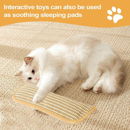 Cat Teething Pillow & Scratching Toy
