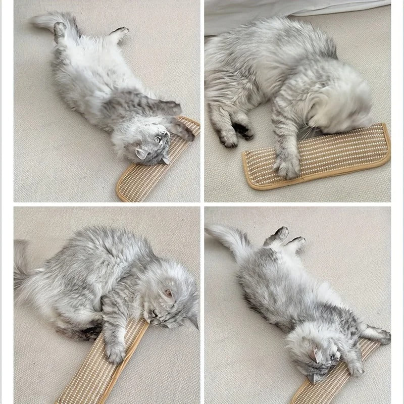 Cat Teething Pillow & Scratching Toy