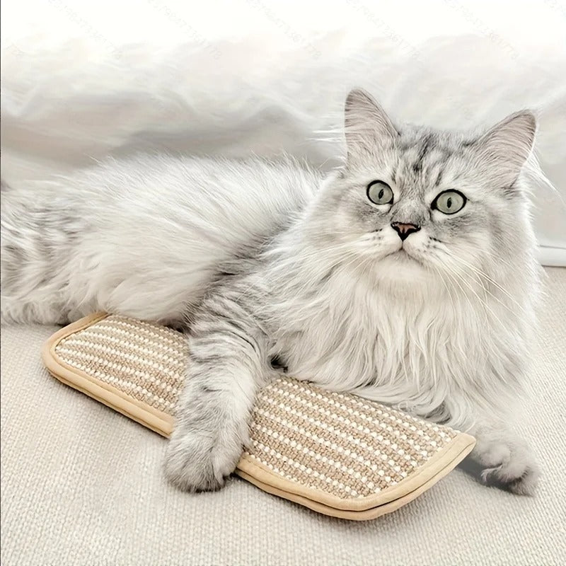 Cat Teething Pillow & Scratching Toy